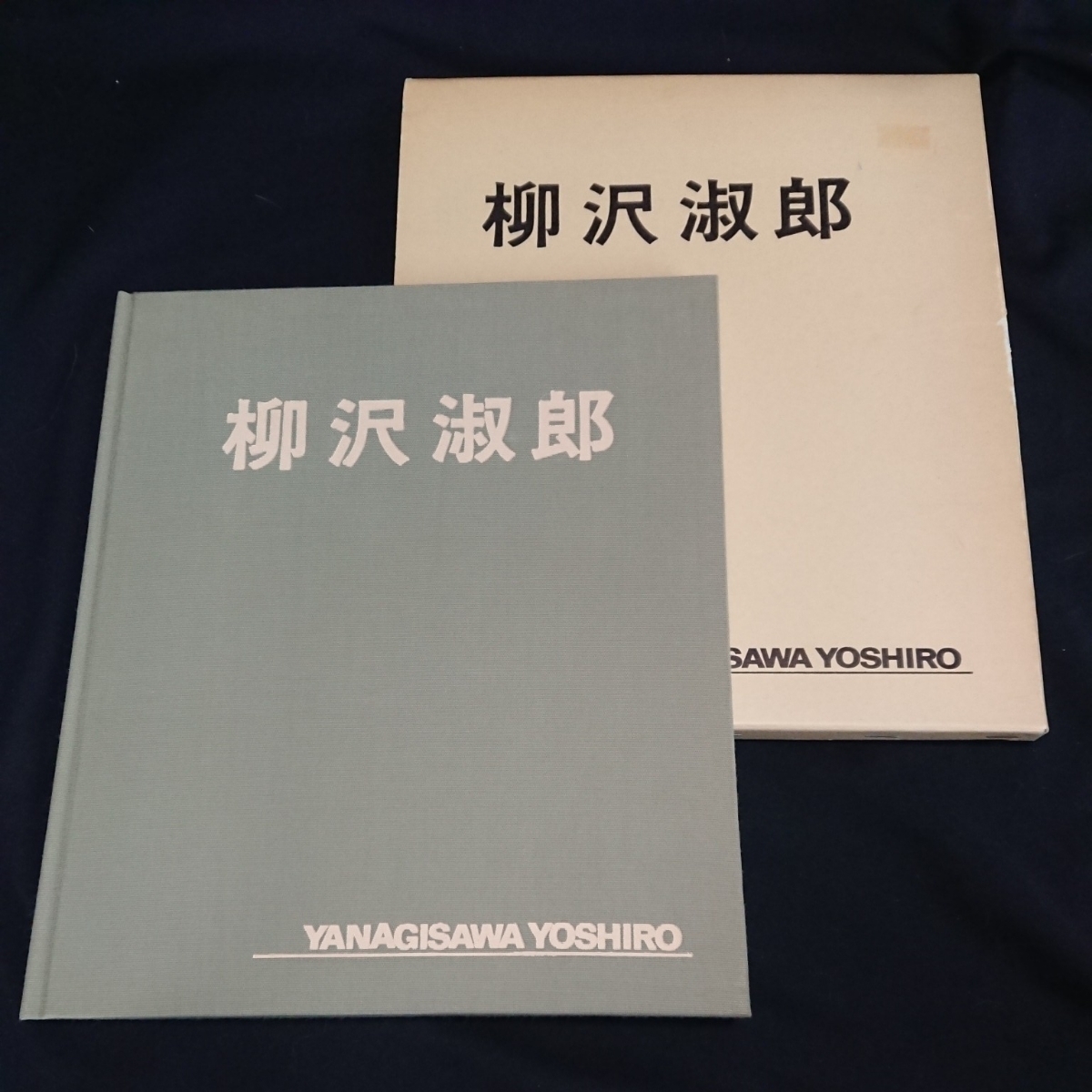 クリアランス販促品 内部状態良好 古書 画集 作品集◇柳沢淑郎/洋画