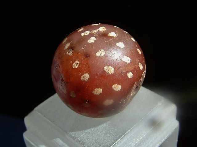 173..《天珠八仙》(大玉)Etched Carnelian DZI 古代紋..約2㎝