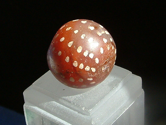 173..《天珠八仙》(大玉)Etched Carnelian DZI 古代紋..約2㎝