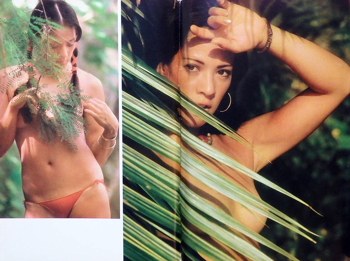 平凡パンチ ピンクレディー ピンナップポスター 山口百恵 桜田淳子 水着 竹田かほり セクシー 石川ひとみ ビキニ 本雑誌昭和53年アイドル 平凡 売買されたオークション情報 Yahooの商品情報をアーカイブ公開 オークファン Aucfan Com