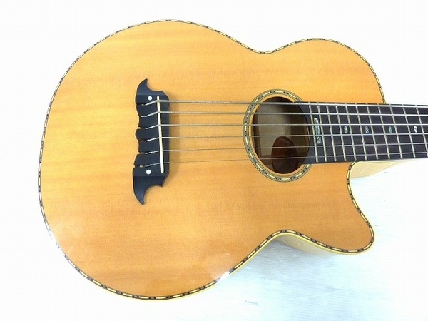 希少Athlete 6弦アコースティックベース AX-6 ギグバッグ付き ATHLETE