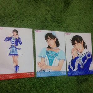 杏樹のYahoo!オークション(旧ヤフオク!)の相場・価格を見る｜Yahoo