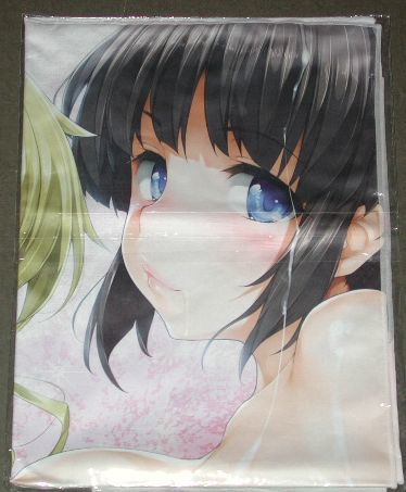 石恵 画集 Milkyway メロンブックス B2マイクロファイバーポスタータオル タオル 売買されたオークション情報 Yahooの商品情報をアーカイブ公開 オークファン Aucfan Com