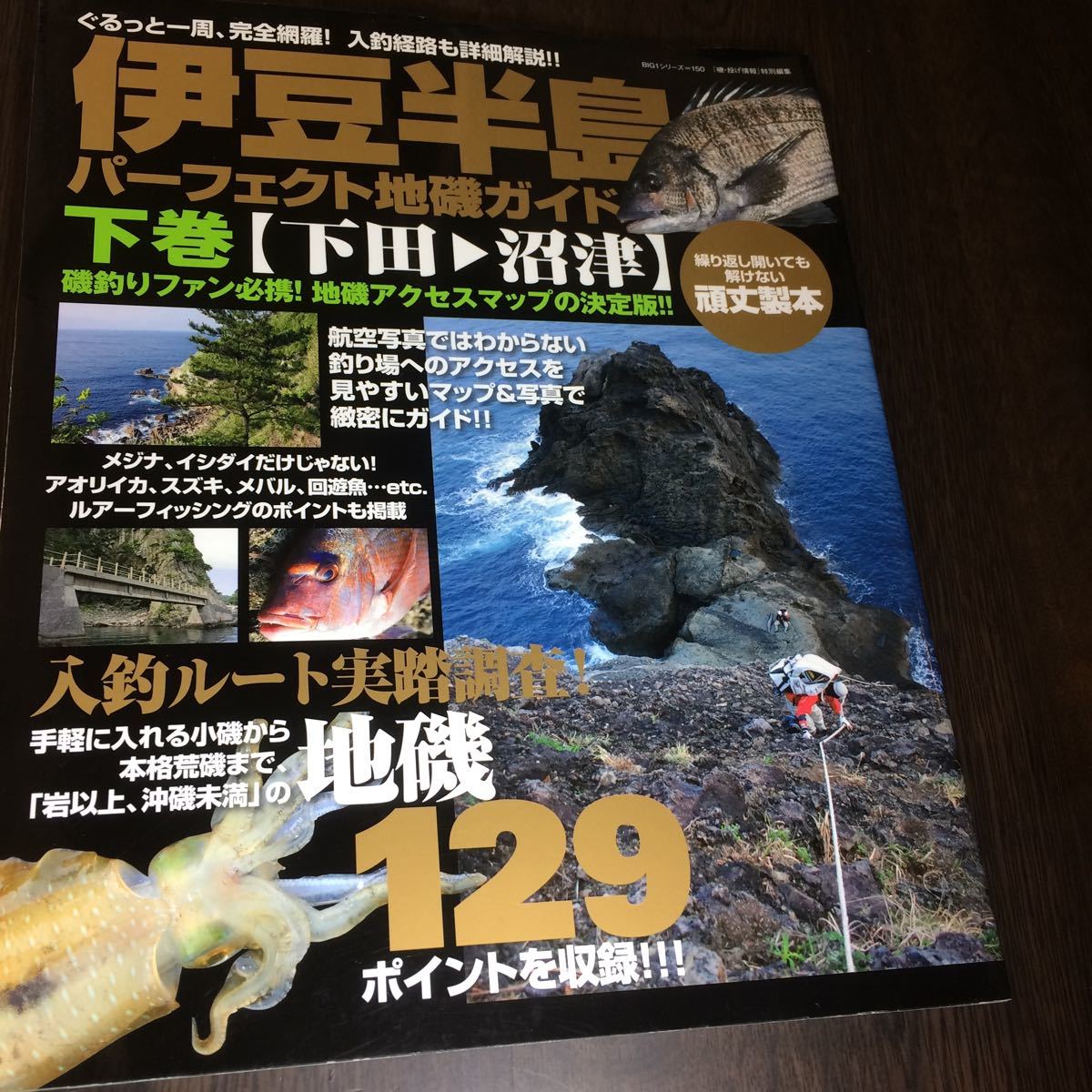 伊豆半島パーフェクト地磯ガイド 下巻 (下田→沼津) ぐるっと一周