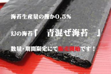 ★販売開始　愛知産　幻の海苔　青混優　生のり100枚【一送無】