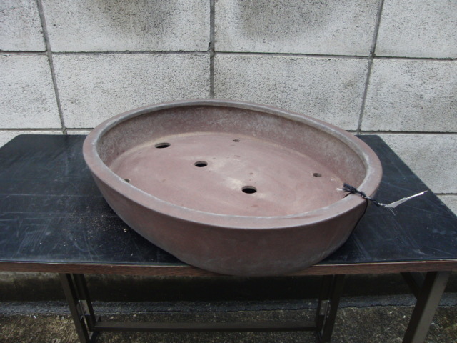 鉢 盆器 盆栽 植木 松柏 真柏 皐月 楓 山秋 | 和鉢 ☆