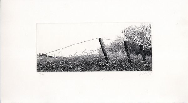 特選】吉田勝彦版画2 銅版画 限80 サイン 吉田勝彦「薔薇二輪」銅版画