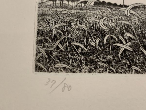 特選】吉田勝彦版画2 銅版画 限80 サイン 吉田勝彦「薔薇二輪」銅版画
