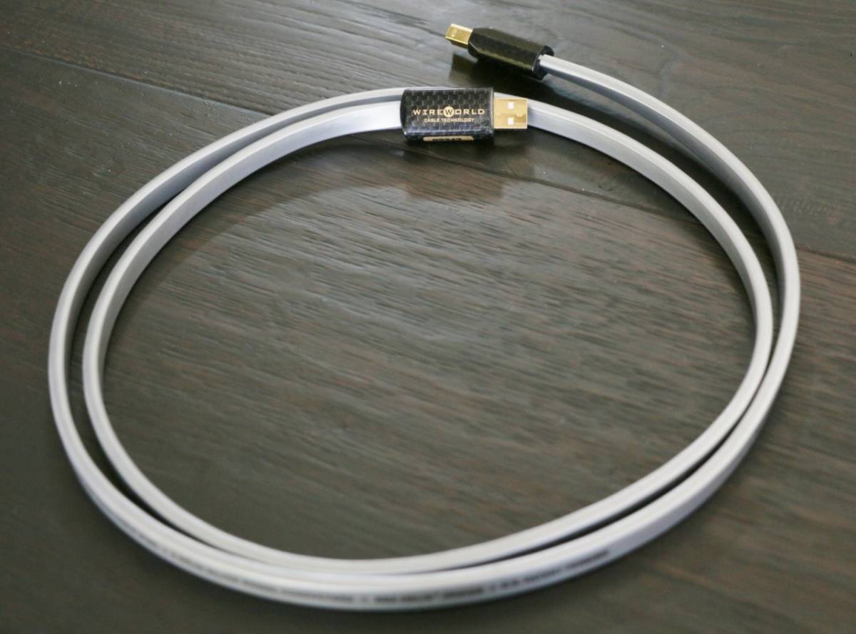 WIREWORLD 格安 Wireworld ワイヤーワールド PLATINUM STARLIGHT 