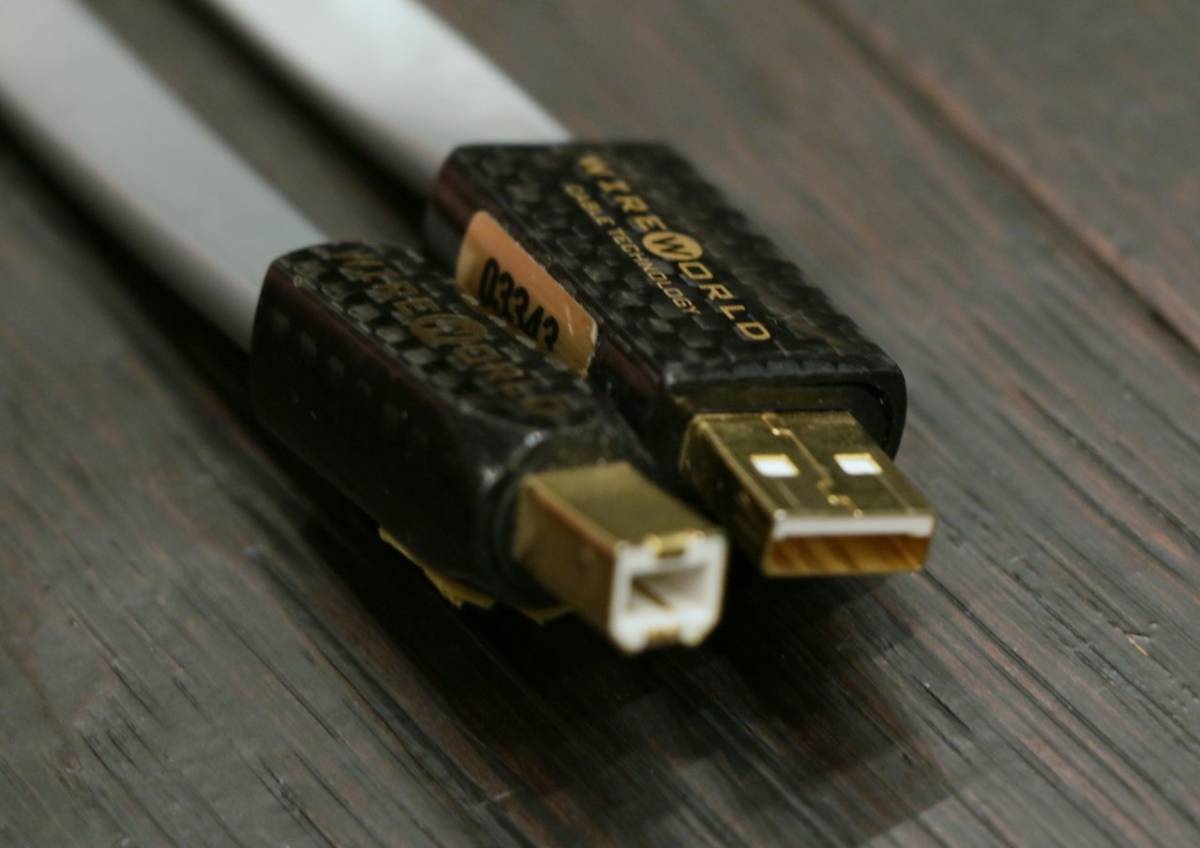 WIREWORLD 格安 Wireworld ワイヤーワールド PLATINUM STARLIGHT 