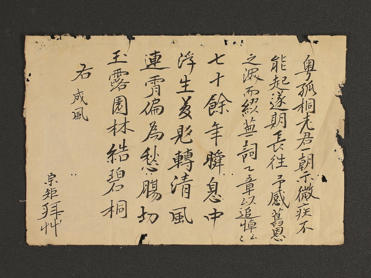 【模写】【伝来】f6346〈柳生宗矩〉書 江戸前期の剣術家 大名 新陰流 マクリ