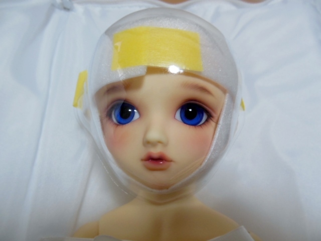 大人気，大得価 Dear SD 綾 2019 HTドルパ京都16 フルセット マイディアガーデン ライラック ディアSD(本体)｜売買されたオークション情報、yahooの商品情報をアーカイブ公開 - オークファン 本体