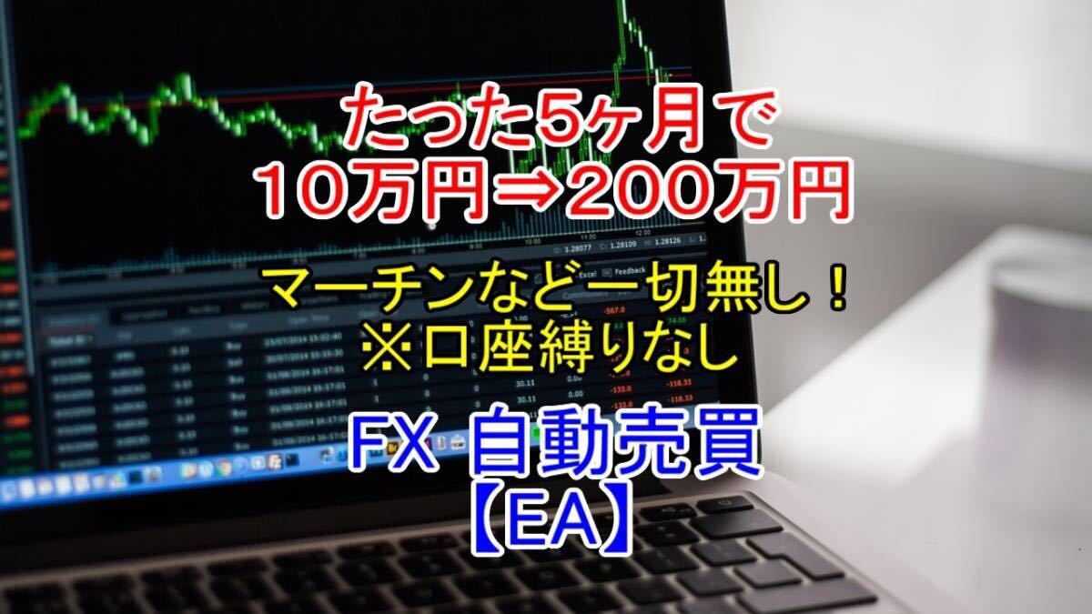 たった５ヶ月で10万円⇒200万円にした最強自動売買ソフト【EA】[FX MT4 エキスパートアドバイザー バイナリーオプション 投資 副業]