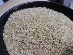 R1年産 あきろまん 中米 玄米30kg メダカのいる田んぼの米