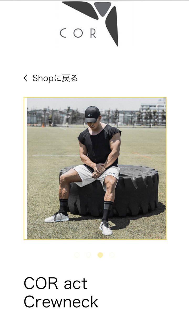 人気SALE，新作 COR kanekin fitness カネキン act クルーネック 袖無し GYM トレ着 / LIFT cronos エドワード加藤 ②(タンクトップ)｜売買されたオークション情報、yahooの商品情報をアーカイブ公開 - オークファン タンクトップ
