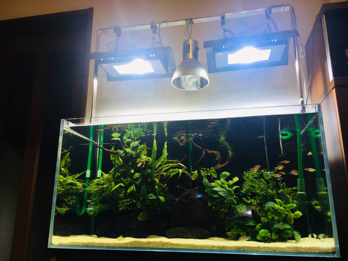 Yahoo!オークション 「ada ソーラー」照明 (魚、水草) の落札 メルカリ 