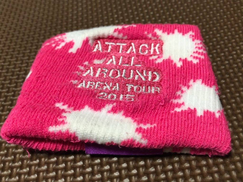 AAA 10th Anniversary マフラータオル リストバンド 末吉秀太