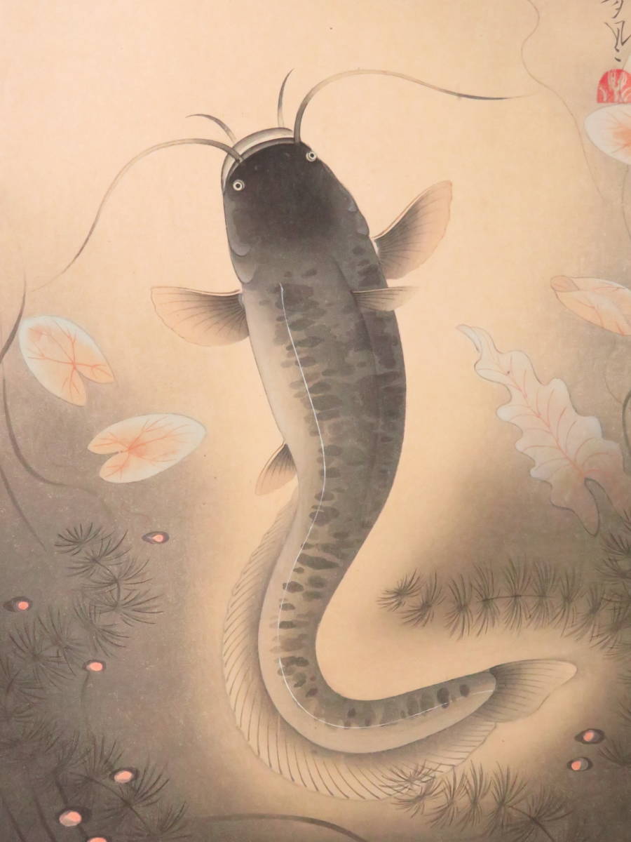 木版画『大日本魚類画集◆鯰』大野麦風 ナマズ　　　　　　　　　検)大野麥風浮世絵錦絵石版画新版画国芳年清親暁斎吉田博川瀬巴水北斎国貞