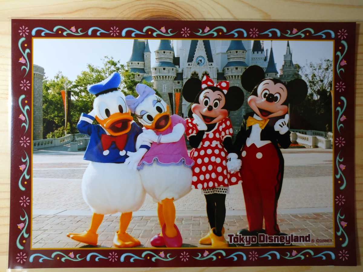 ディズニーランド ディズニーシー TDL TDS フォトファン 24_1