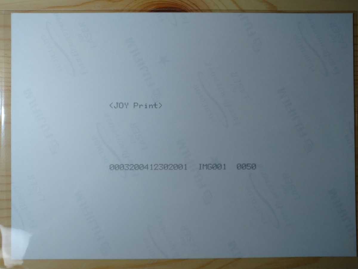 ディズニーランド ディズニーシー TDL TDS フォトファン 24_2