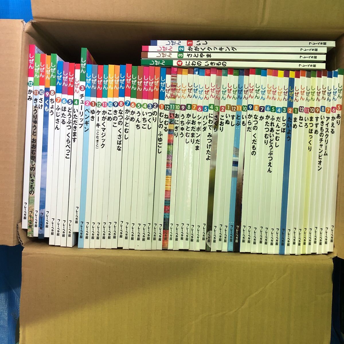 キンダーブック しぜん 絵本 自然 フレーベル館 しぜん-キンダーブック