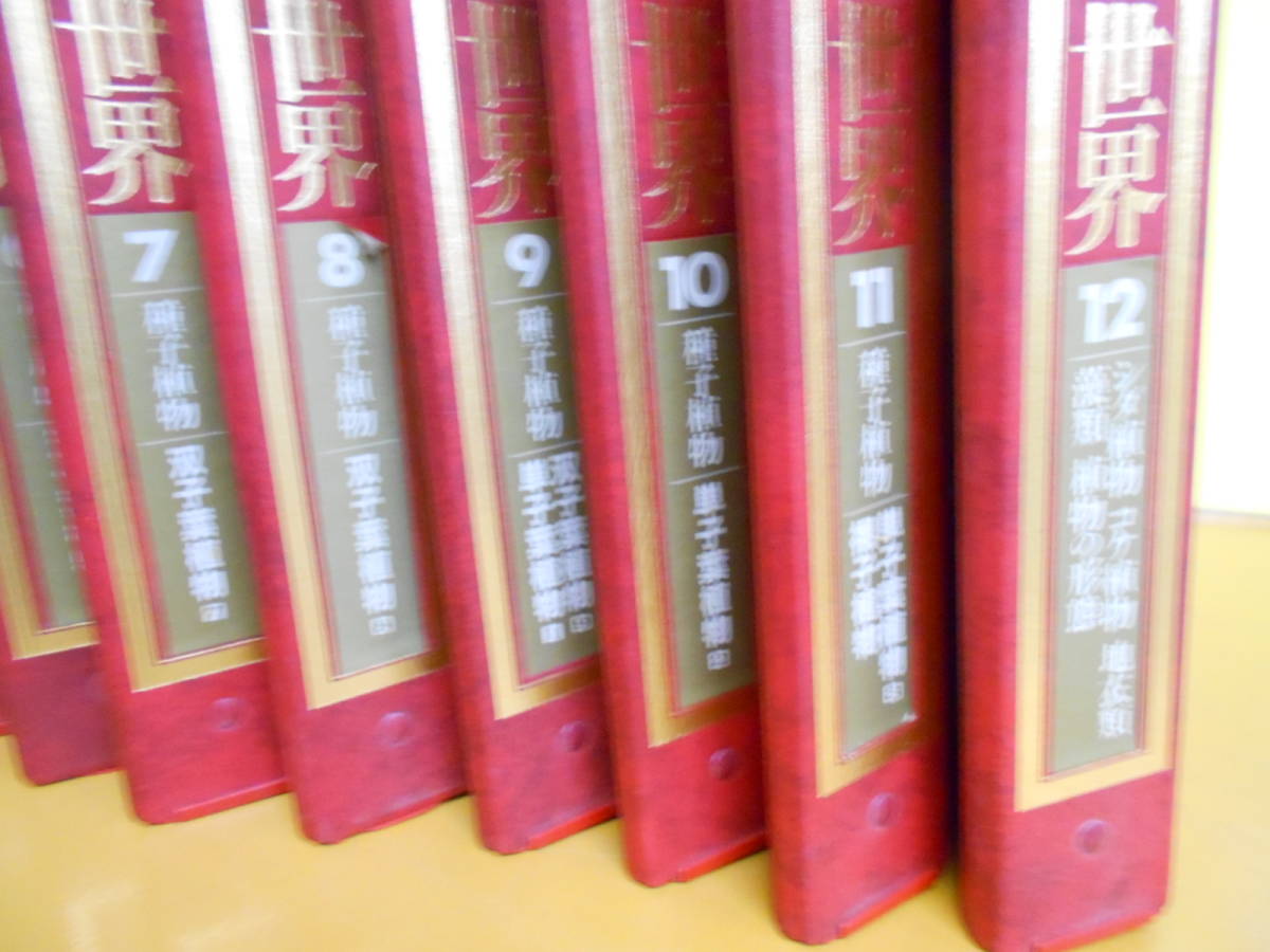 13◎○/週刊朝日百科 植物の世界 全145号バインダー12冊セット/朝日新聞社