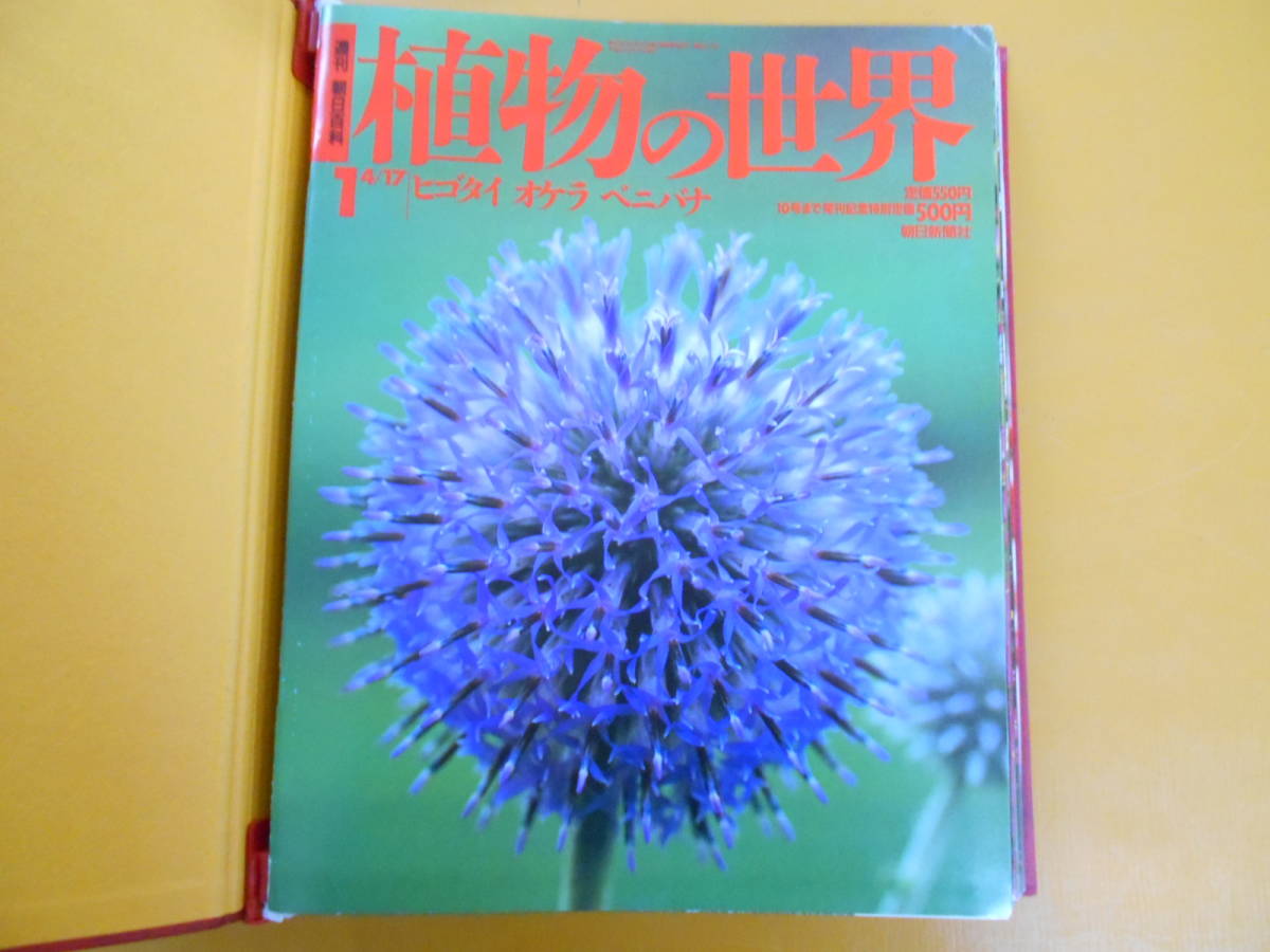 【雑誌】週刊朝日百科 植物の世界　全145冊　No.1〜145 13◎○/週刊朝日百科 植物の世界 全145号バインダー12冊セット/朝日新聞社