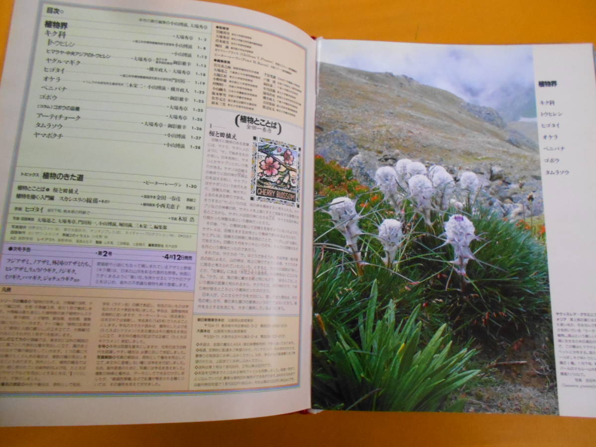13◎○/週刊朝日百科 植物の世界 全145号バインダー12冊セット/朝日新聞社