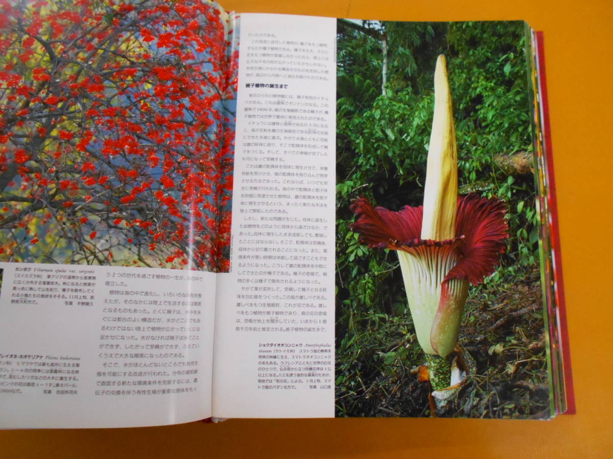 13◎○/週刊朝日百科 植物の世界 全145号バインダー12冊セット/朝日新聞社