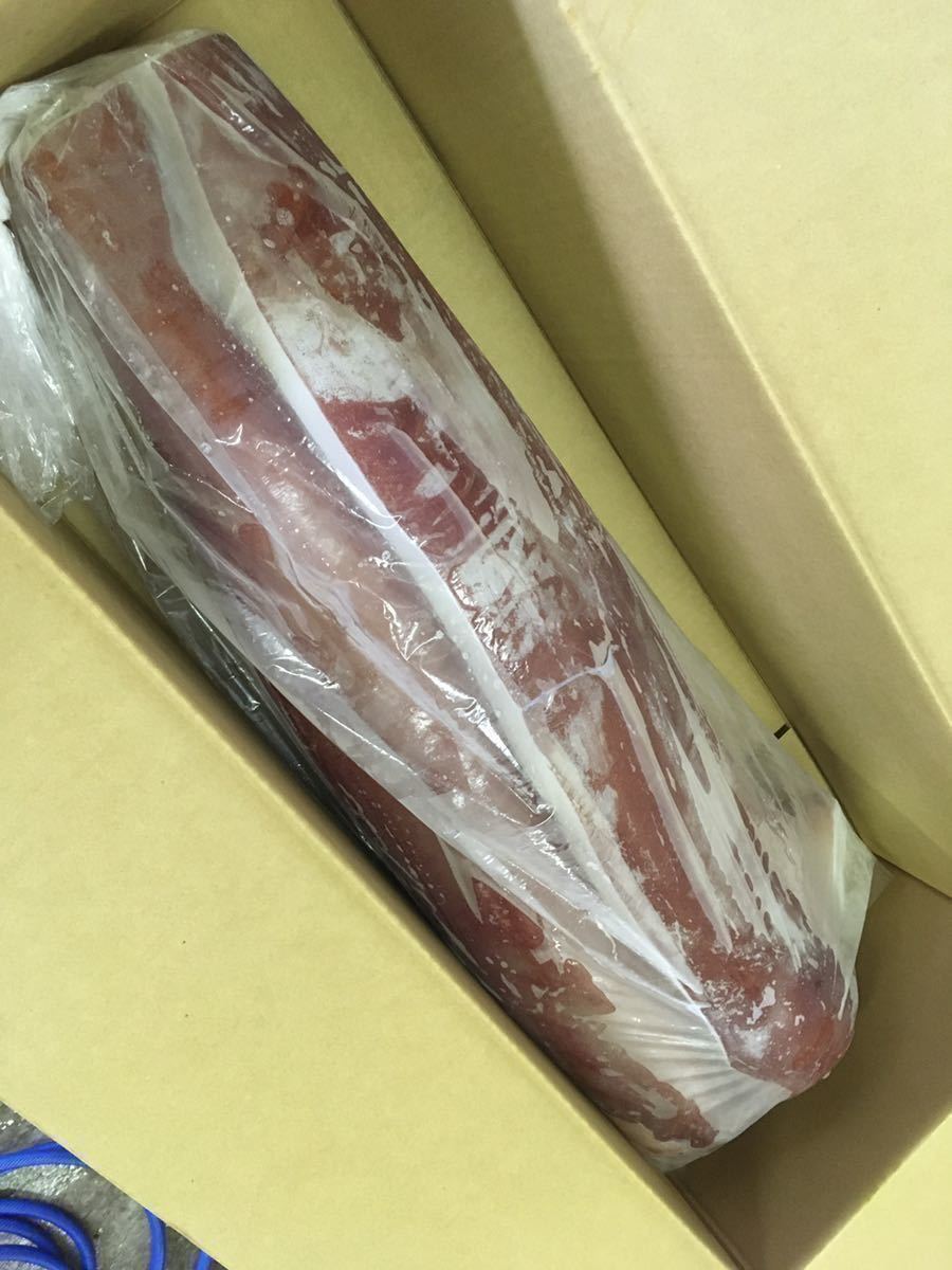 沖縄県産 ソデイカ 特大ソデイカ(ミミ付き)11.4kg刺身でも天ぷらでも抜群に 約 1kg いか 特大ソデイカ(ミミ付き)【13.1kg】刺身でも天ぷらでも抜群に美味い！【2020年4月水揚げ】大人気！1円オークション！【送料2，000円一律】