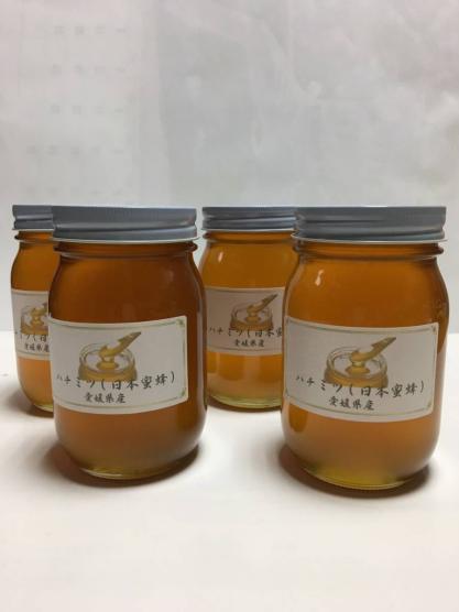 格安，大得価 日本みつばちの ハチミツ 600ｇ ４個セット 令和2年6月産 日本蜜蜂の蜂蜜 日本みつばちのはちみつ(はちみつ)｜売買されたオークション情報、yahooの商品情報をアーカイブ公開 - オークファン はちみつ