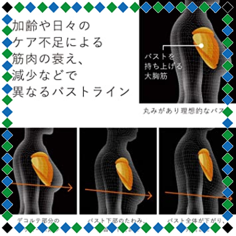 シックスパッド SIXPAD MTG sixpad : チェストフィット(Chest Fit fit(の通販 chest チェストフィット チェストフィットの通販 - 新品ジェルシート付きシックスパッド チェストフィットの 大胸筋の通販 期待で胸は大きく膨らむね