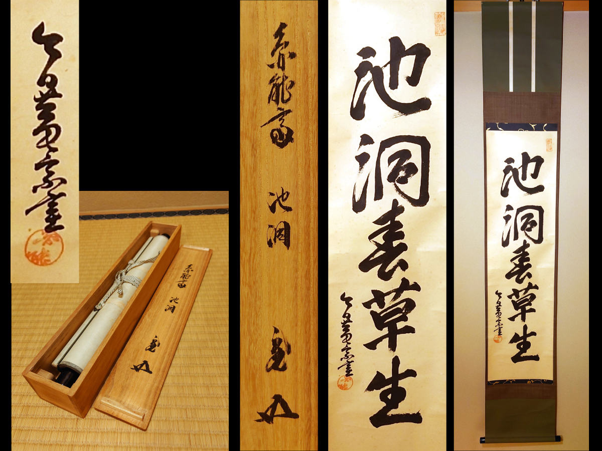 掛軸　裏千家　十三代　圓能斎筆　一行書　「一花開天山春」　共箱　C　9757A 裏千家十三代家元 円能斎 筆 一行書「池洞春草生」 十五代家元 鵬雲斎