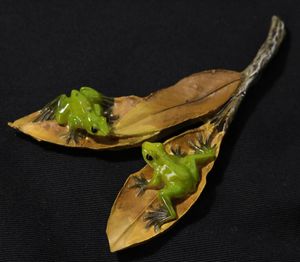 TAKIYA】素芳庵 若原英正（平安英正）作『添配E・唐舟』 牛 共