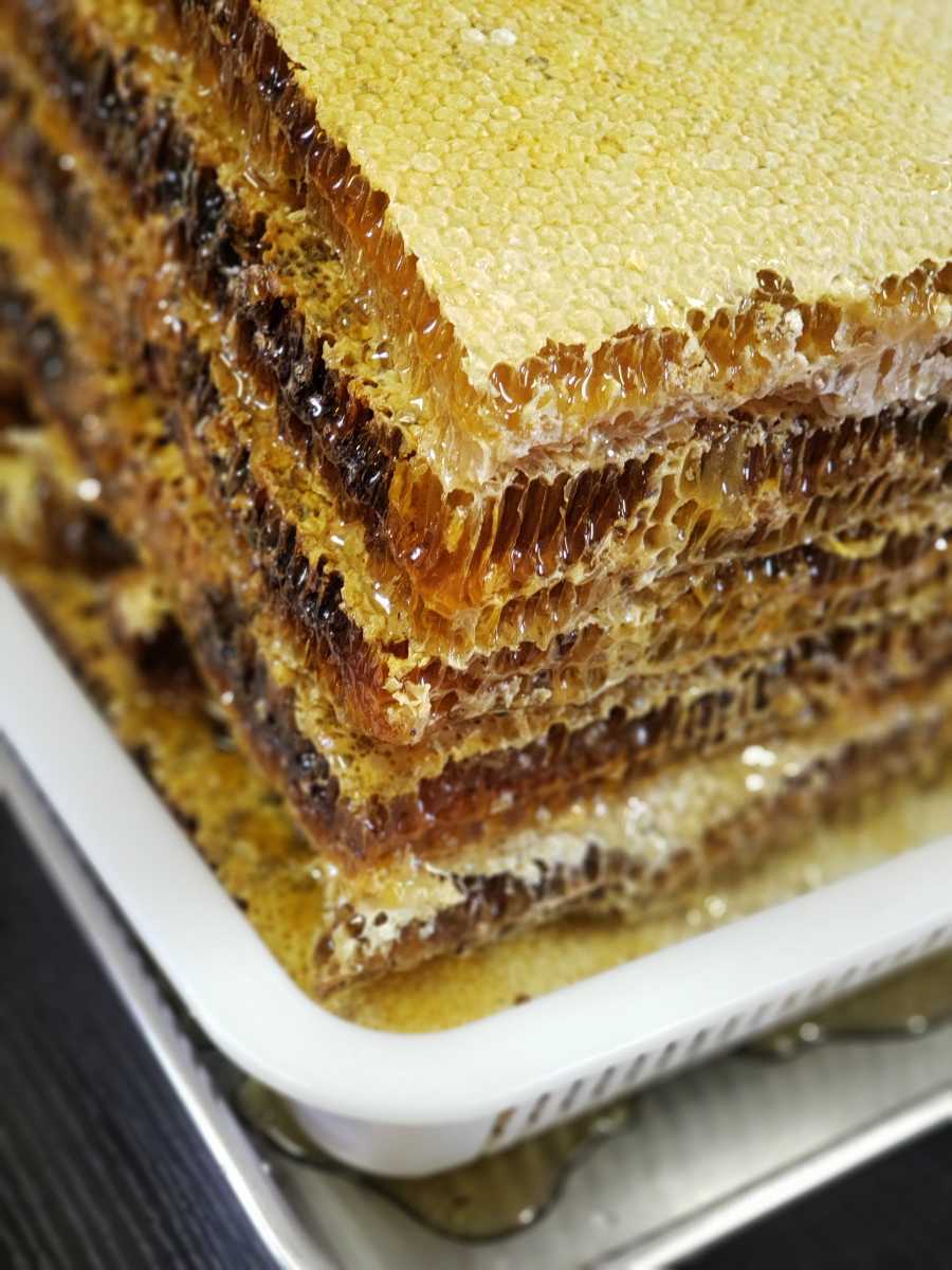 日本蜜蜂 にほんみつばちの巣蜜 コムハニー 711g はちみつ 売買されたオークション情報 Yahooの商品情報をアーカイブ公開 オークファン Aucfan Com