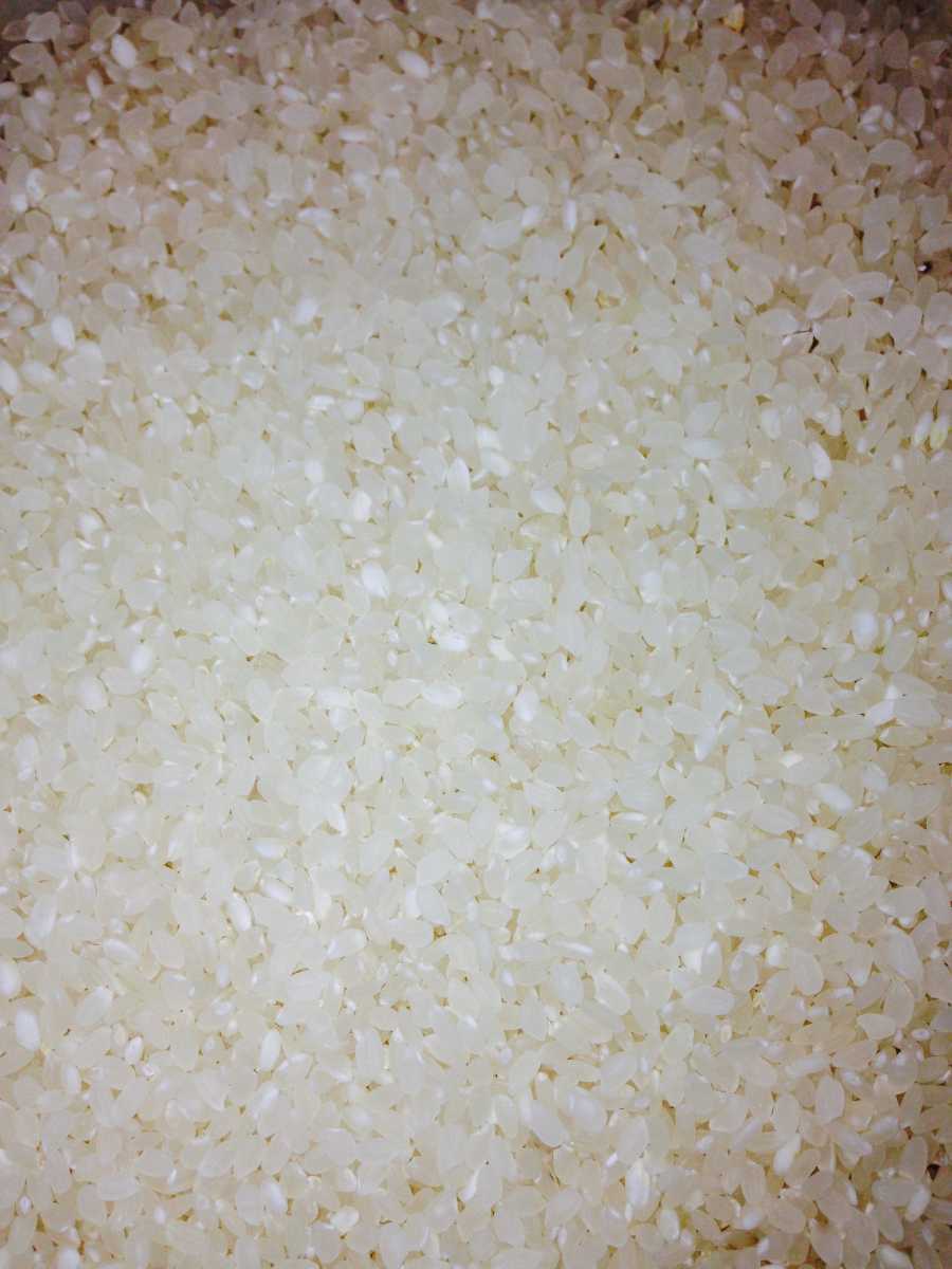 無洗米．　(ブレンド米)　　　10Kg_1