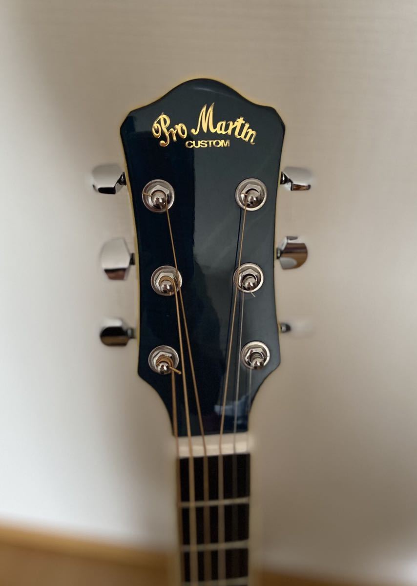 Pro Martin custom エレアコ