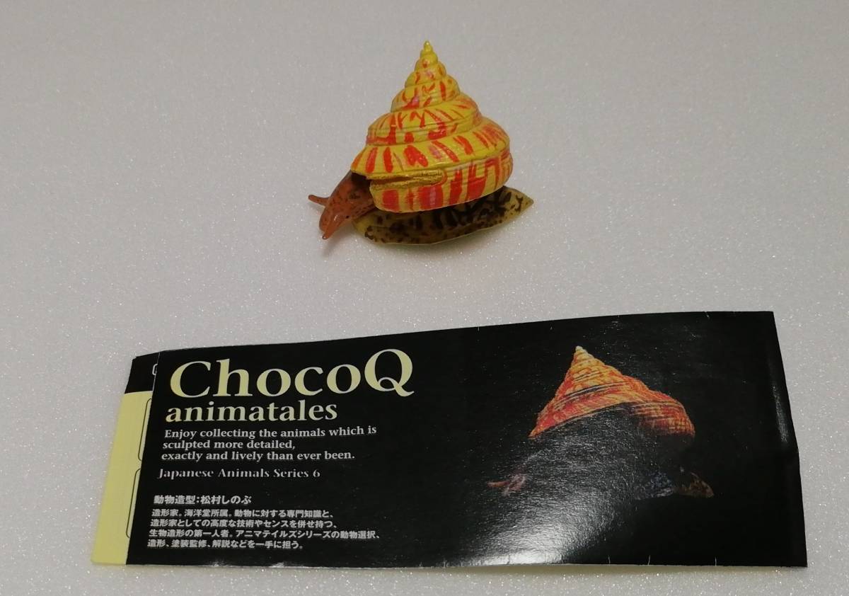 オキナエビスガイの値段と価格推移は？｜1件の売買データから