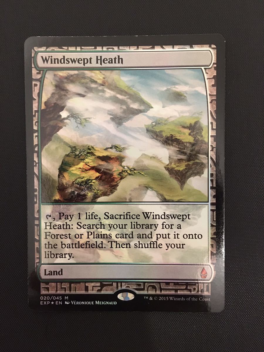 日本 Foil《吹きさらしの荒野⁄Windswept 土地R Windswept ⁄ MTG 初版