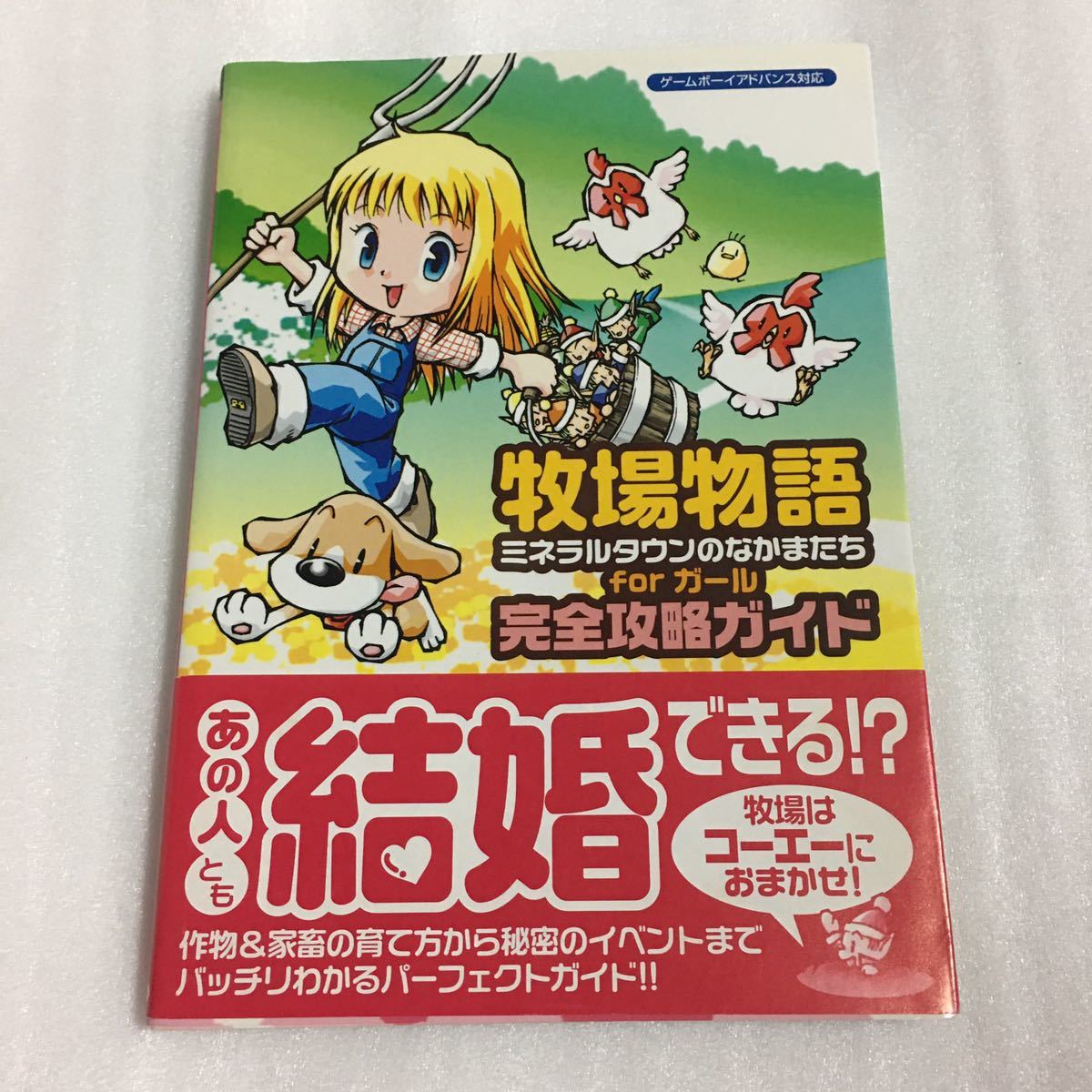 クリスマスツリー特価 Gba 牧場物語 ミネラルタウンのなかまたち Teleacv Cl