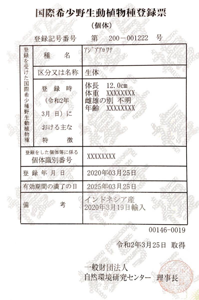 大野雄二 生命潮流 Lifetide LP - Yuji = | – Ohno LIFETIDE メルカリ &frasl; OHNO シンセ Ohno☆Lifetide☆VIH-28104☆大野雄二