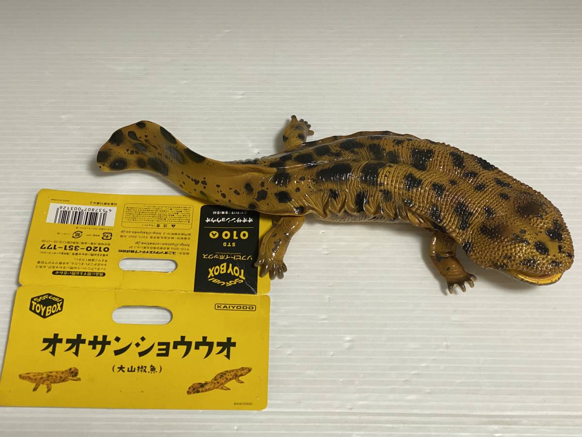 ソフビトイボックス オオサンショウウオ 大山椒魚 ソフビトイボックス