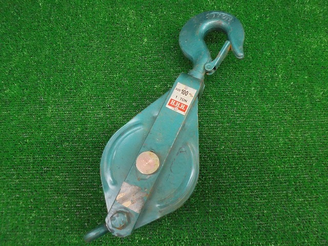 h431981262.3