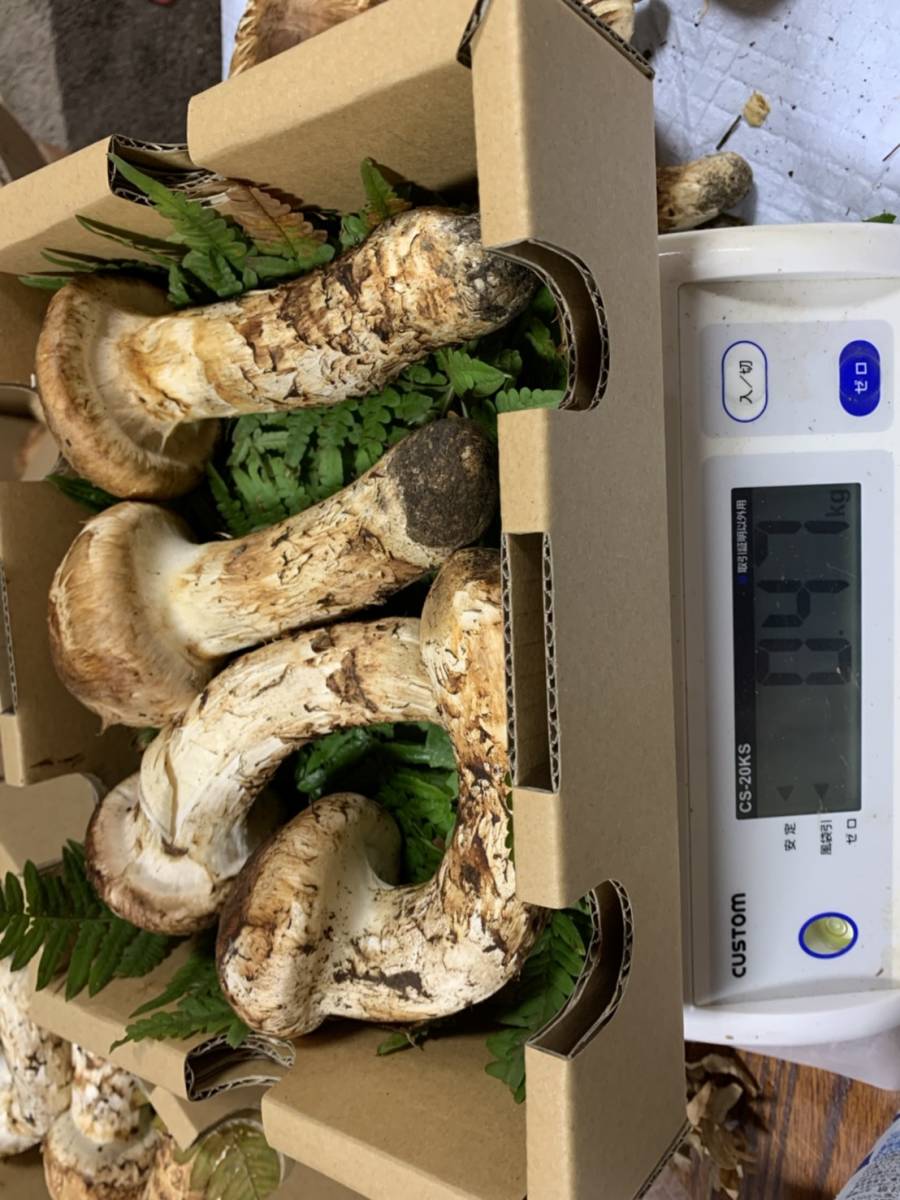 食品 北海道産松茸（開き） 324g