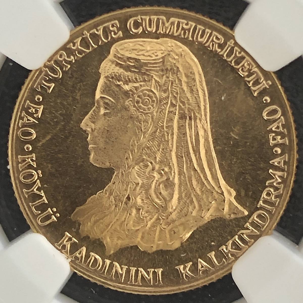 アナトリアの花嫁 最高鑑定 鑑定枚数10枚 1979年 トルコ F A O シリーズ 500リラ金貨 Ngc Pf66 アンティークコイン モダンコイン ヨーロッパ 売買されたオークション情報 Yahooの商品情報をアーカイブ公開 オークファン Aucfan Com