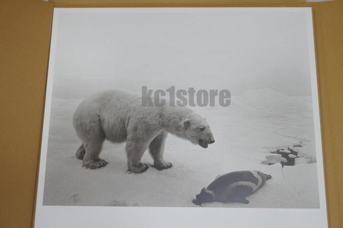 杉本博司 - シロクマ HIROSHI SUGIMOTO - POLAR BEAR ポスター Poster