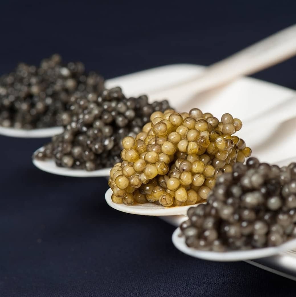 フレッシュキャビア D&h キャビア ベルーガ Three Stars Caviar