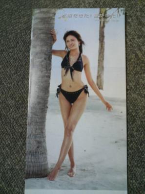 入手困難 超セクシー 絶頂 加藤夏希スタイル抜群 水着 ビキニカタログ 丸井イメージモデル 激レア非売品 加藤夏希 売買されたオークション情報 Yahooの商品情報をアーカイブ公開 オークファン Aucfan Com