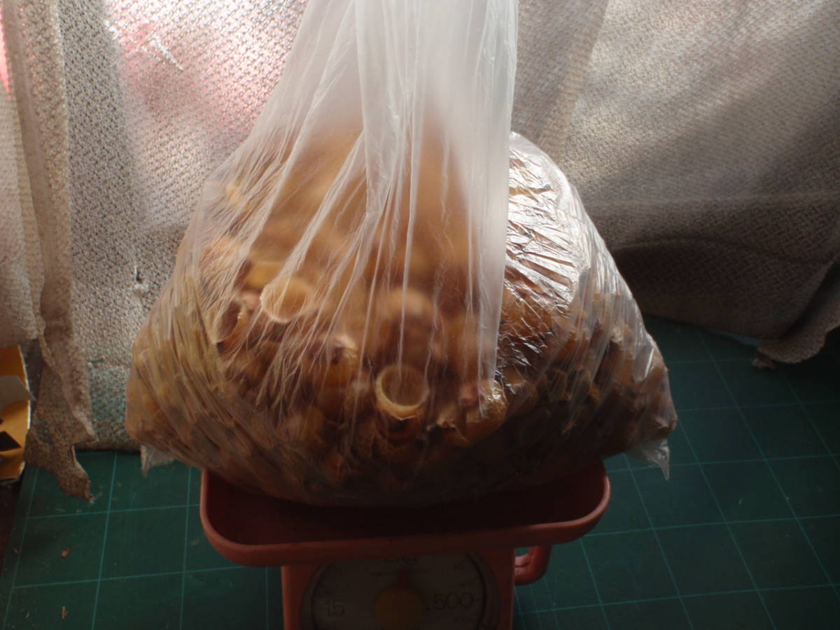 ソープナッツ ムクロジの皮 無患子の実 自然物 1ｋｇ 洗濯洗剤 売買されたオークション情報 Yahooの商品情報をアーカイブ公開 オークファン Aucfan Com