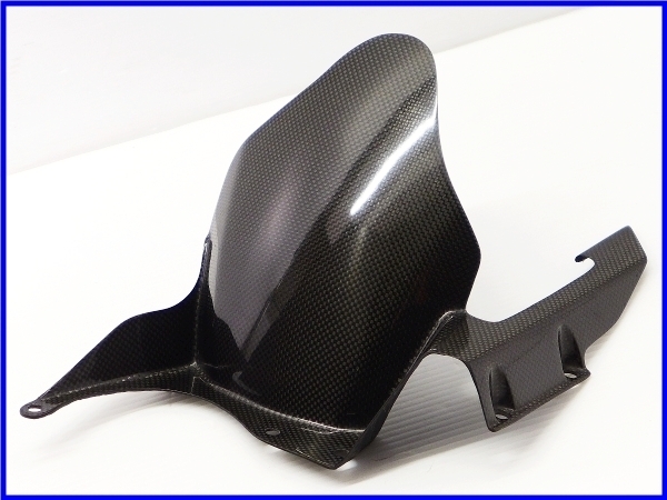 ☆ 【M2】良品♪ハイパーモタード1100S DucatiPerformance カーボン